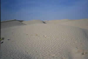 Sand